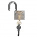 Ambienceo Professional Visible Practice Lock Cutaway Transparent Padlocks Tra...